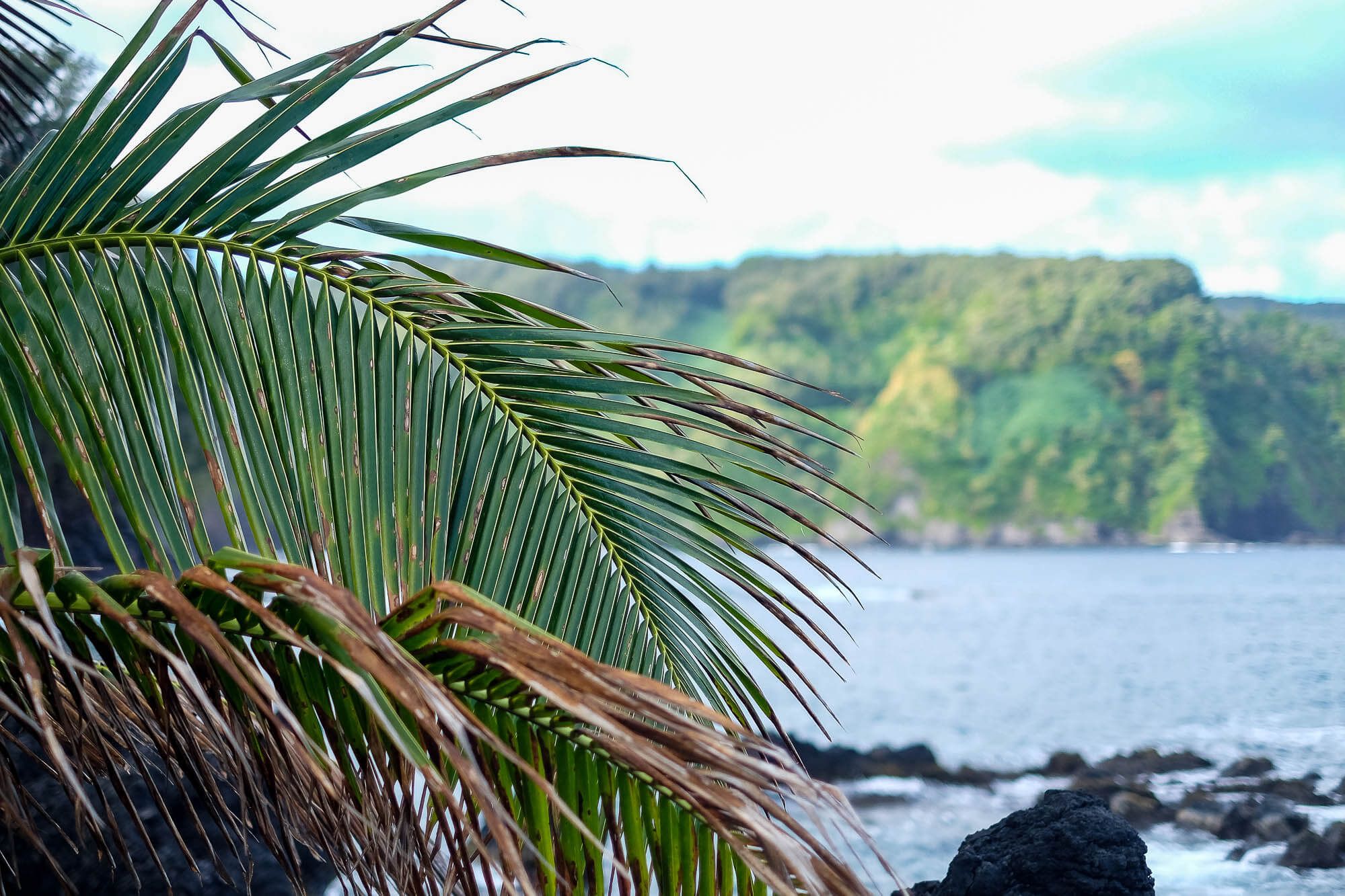 A Road to Hana Guide: The Stops You Need To See (And Those To Skip)