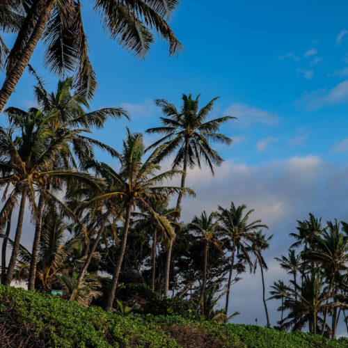 One Week in Paradise: A Maui Itinerary