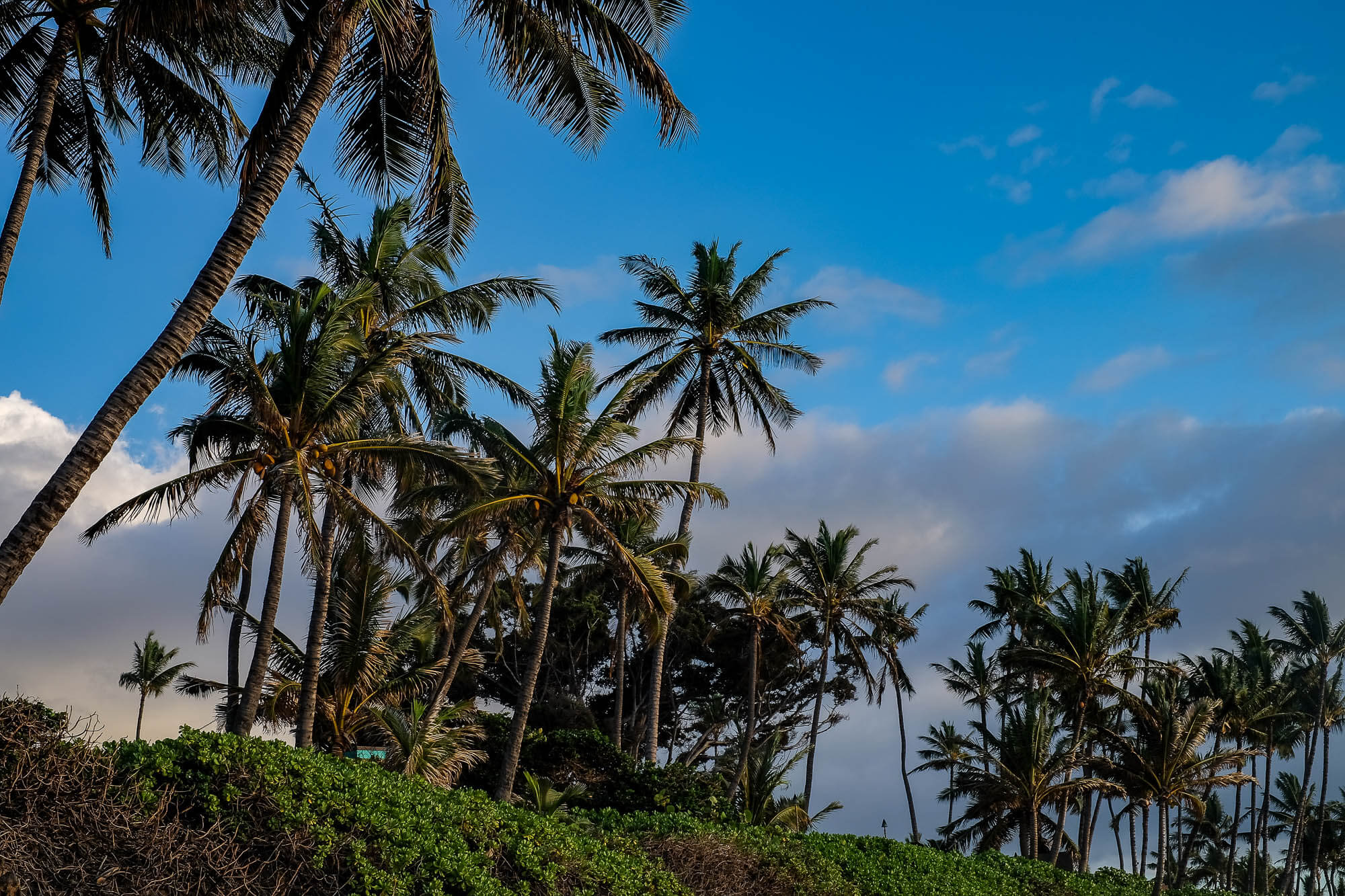 One Week in Paradise: A Maui Itinerary