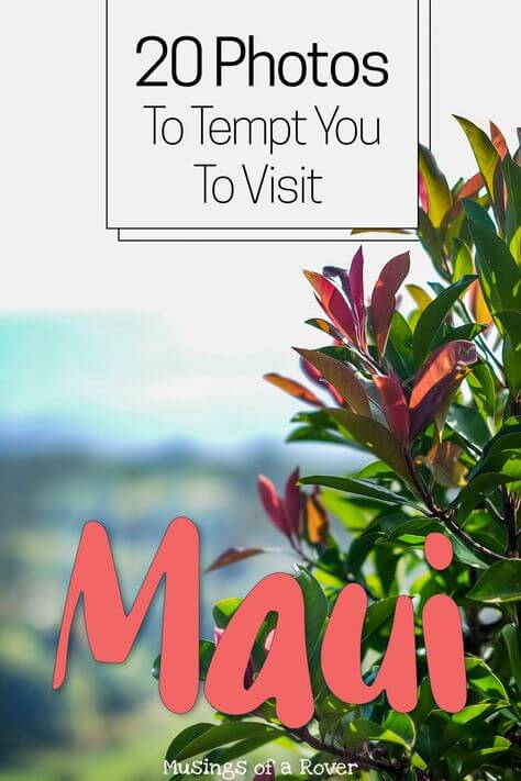 Want to see sunsets, black sand beaches, waterfalls, volcanoes, and more? Then think Maui (Hawaii). Here are 20 photos of Maui to inspire you to visit this wonderful Hawaiian island.