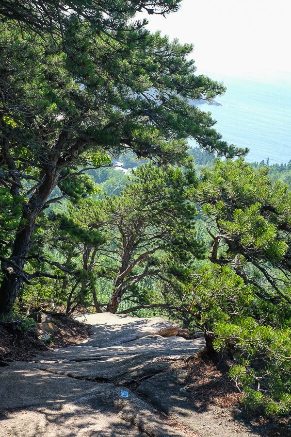 Hiking The Beehive Trail