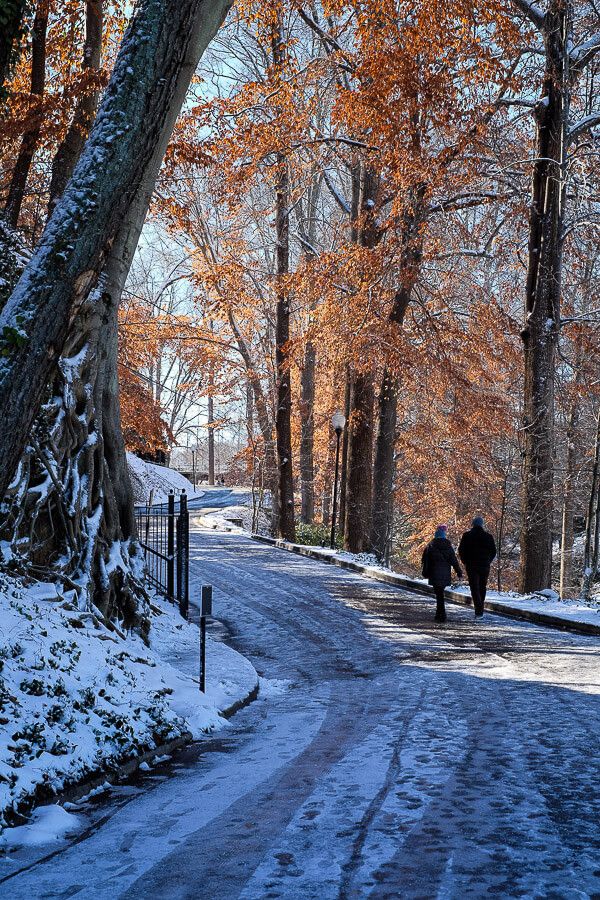 Falls Park: Greenville, SC in the Snow