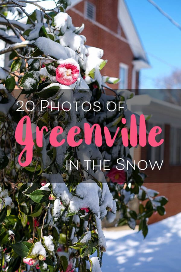 It only happens once a year, but Greenville, SC does get its fair share of winter storms. Here are 20 photos to show you what this city looks like blanketed in snow!