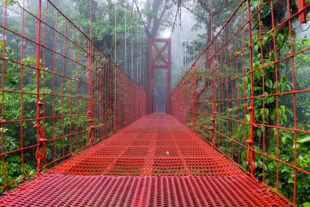 Self-guided hike in the monteverde cloud forest