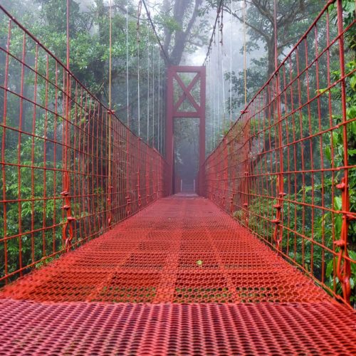 A Self-Guided Hike in the Monteverde Cloud Forest