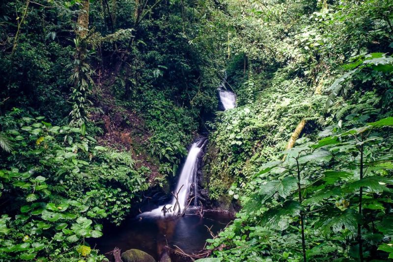 Self-guided hike in the monteverde cloud forest