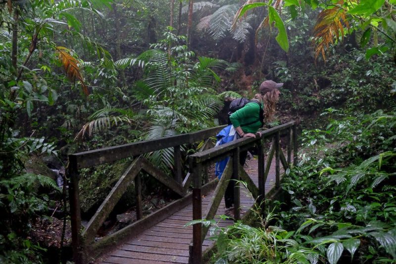 Self-guided hike in the monteverde cloud forest