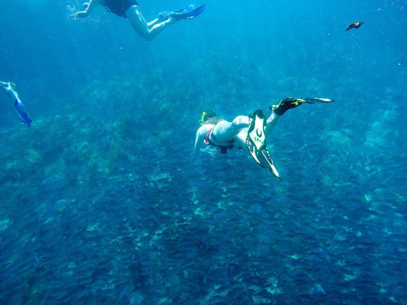 Snorkeling at Cano Island