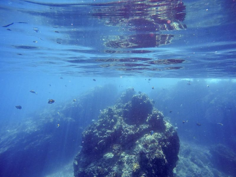 Snorkeling at Cano Island