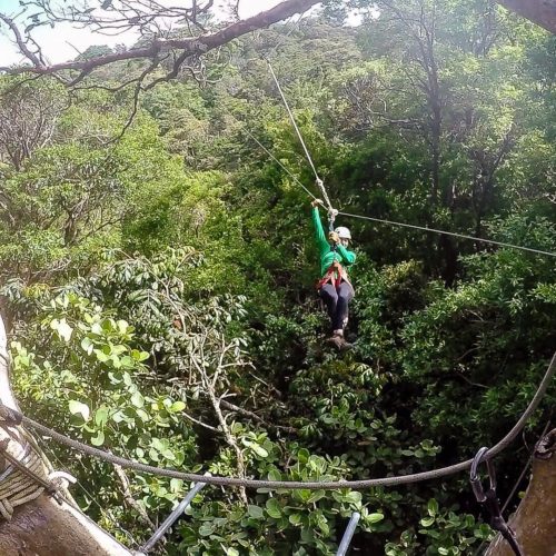 Through the Trees: A Monteverde Zip Line Tour with Original Canopy Tour