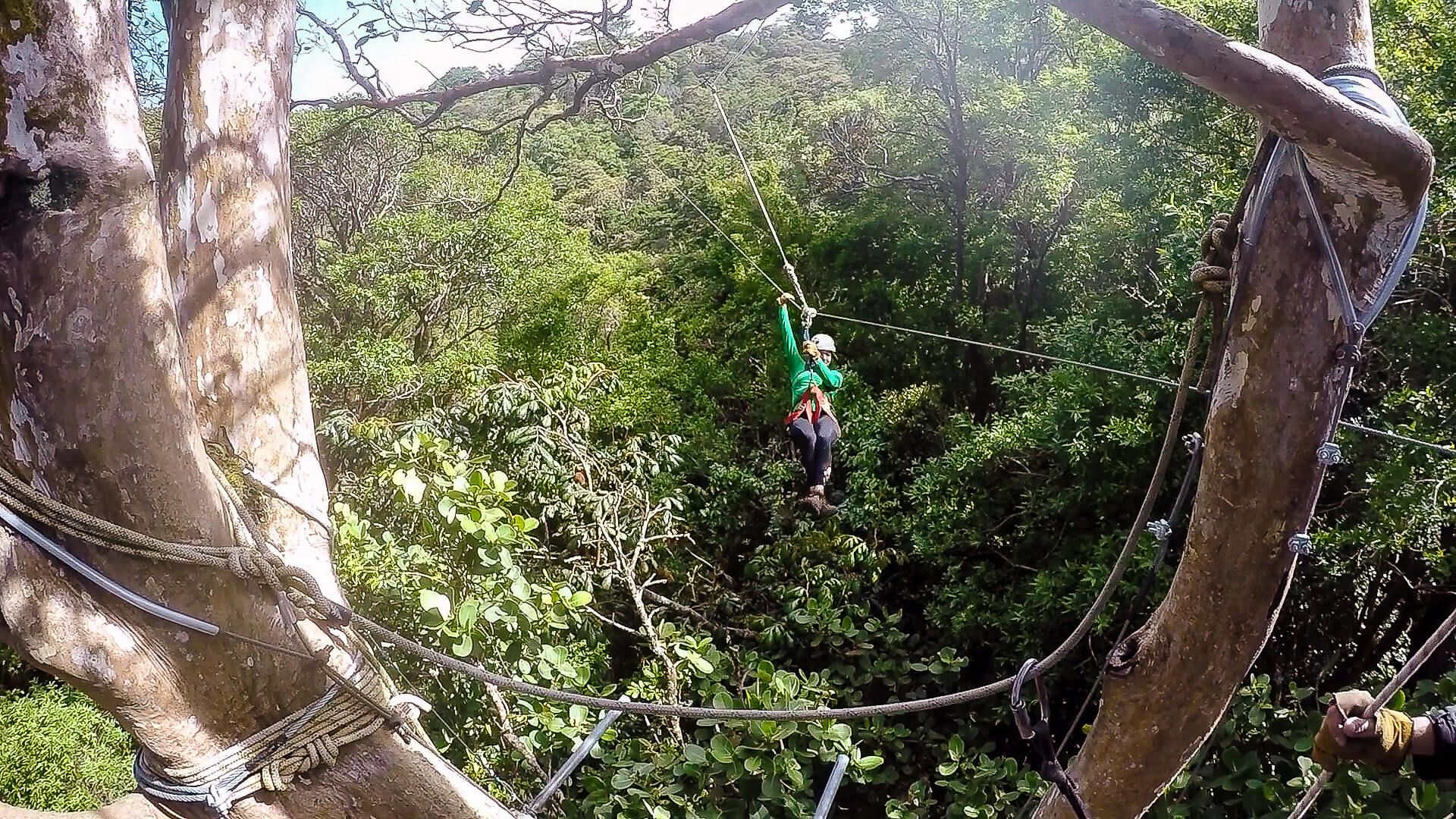 A Monteverde Zip Line Tour with Original Canopy Tour [Review]