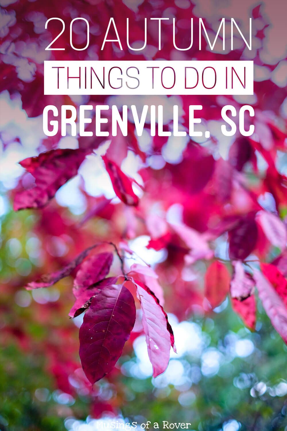 Traveling to Greenville, South Carolina this fall or autumn? Or are you a local looking for something to do this weekend? Here are 20 things to keep you busy! Everything from fall festivals, events, movies in the park, beer festivals, and renaissance fairs to everyday activities like hiking Paris Mountain, picking apples, drinking seasonal brews, taking a day trip to visit some waterfalls, biking the swamp rabbit trail, or haunted houses and Halloween events. travel tips, travel advice, greenville sc things to do, greenville south carolina things to do