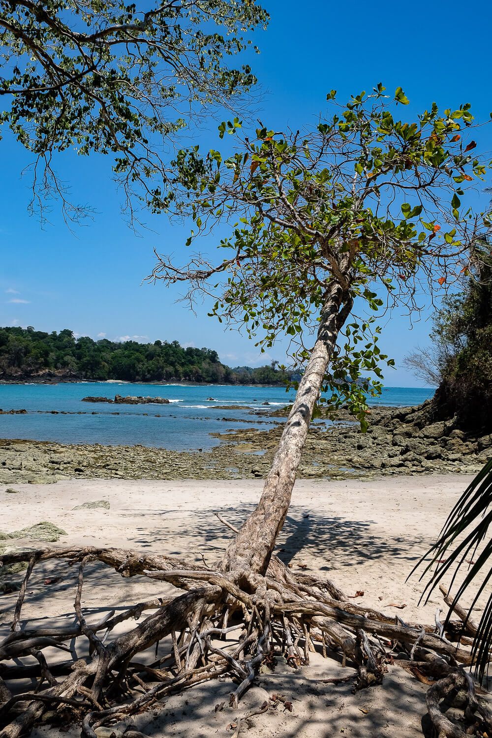 manuel antonio national park