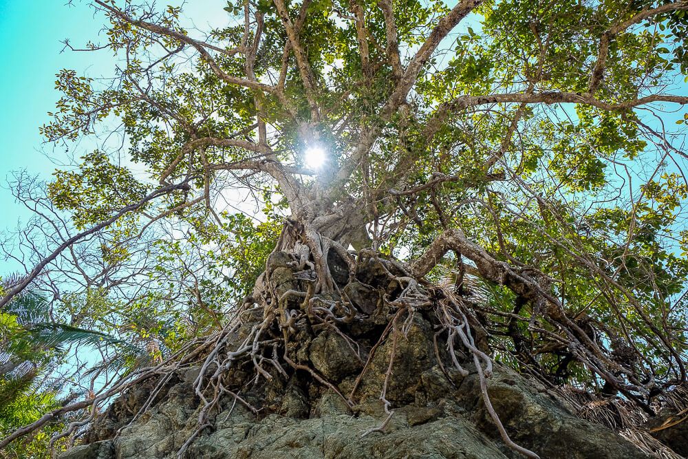 manuel antonio national park