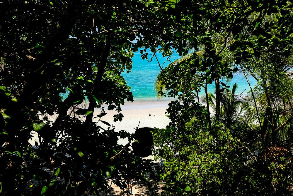 manuel antonio national park