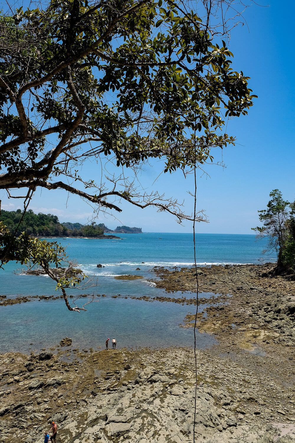 manuel antonio national park