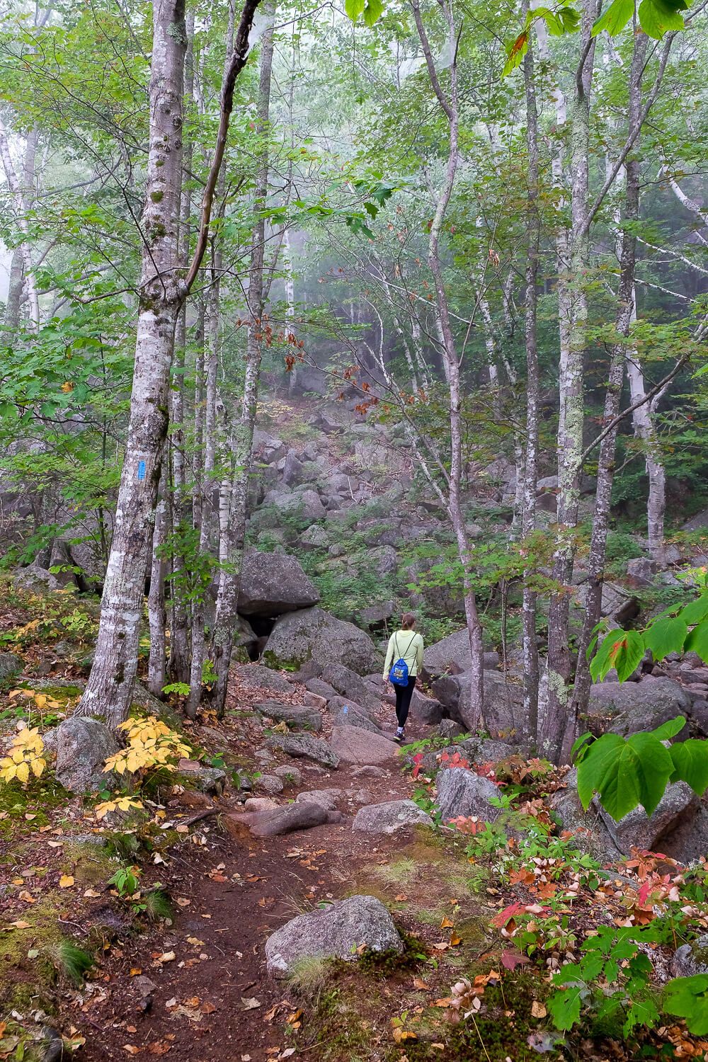 Hiking the Precipice Trail