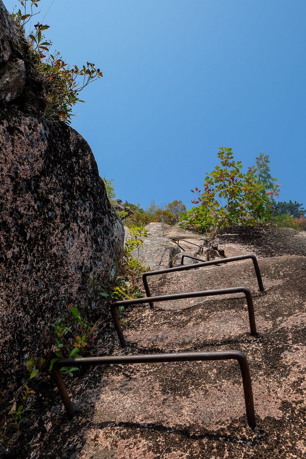 Hiking the Precipice Trail