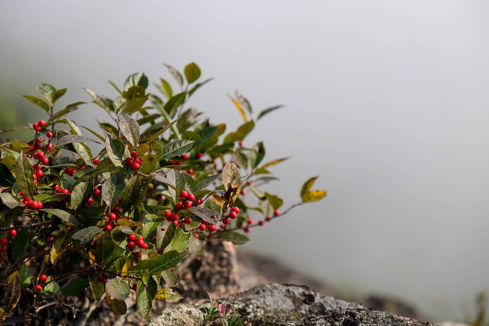 Hiking the Precipice Trail