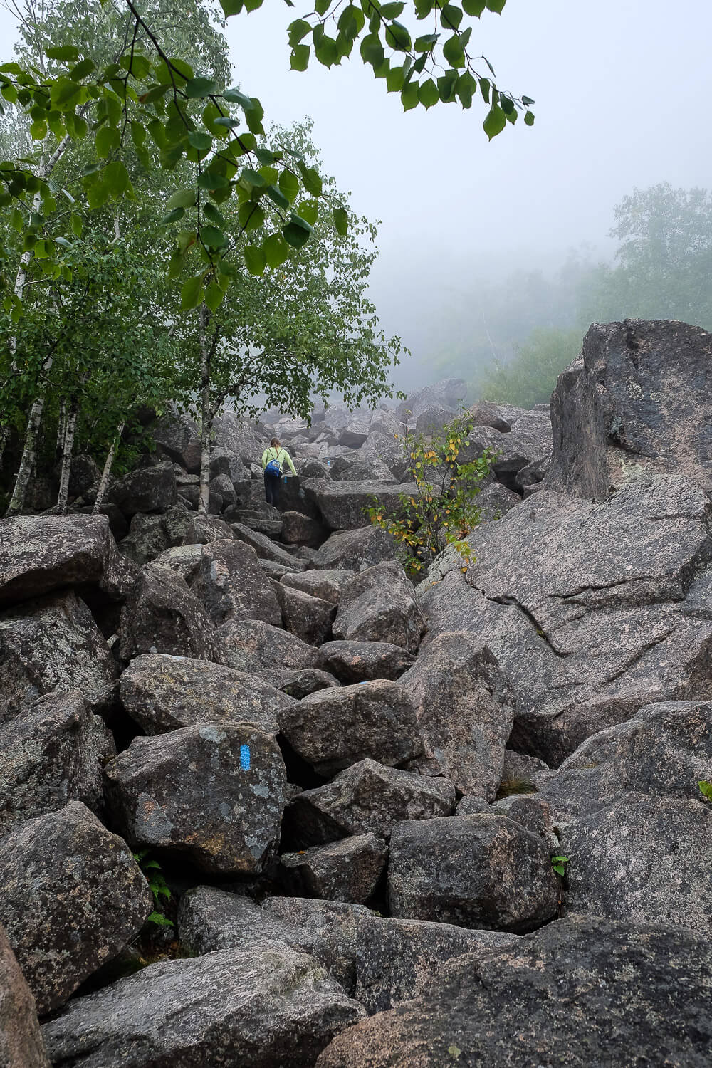 Hiking the Precipice Trail