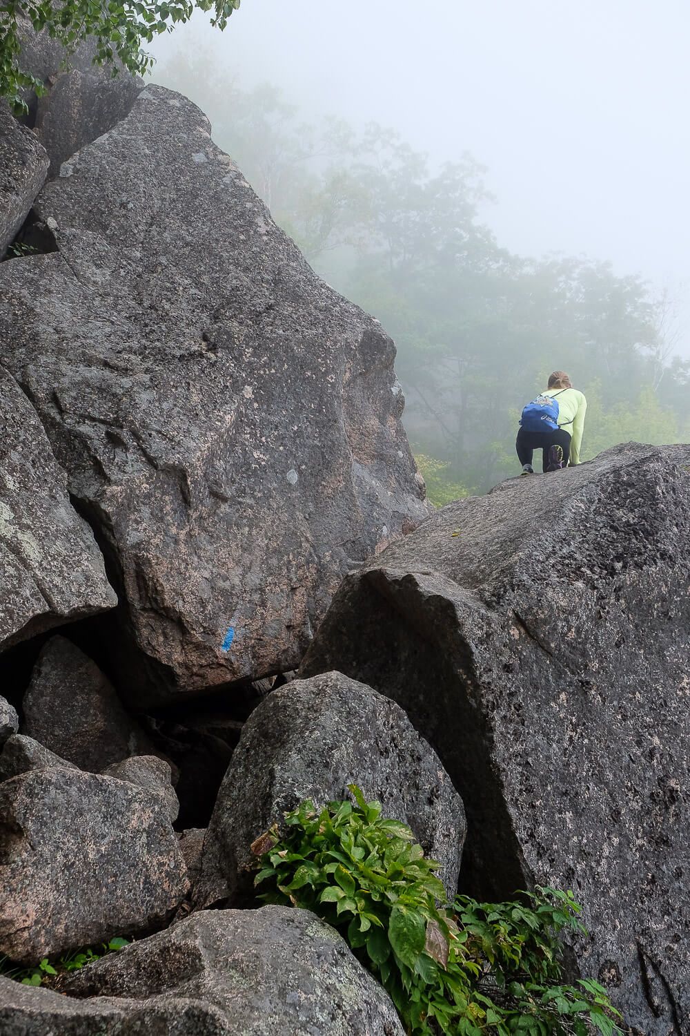 Hiking the Precipice Trail