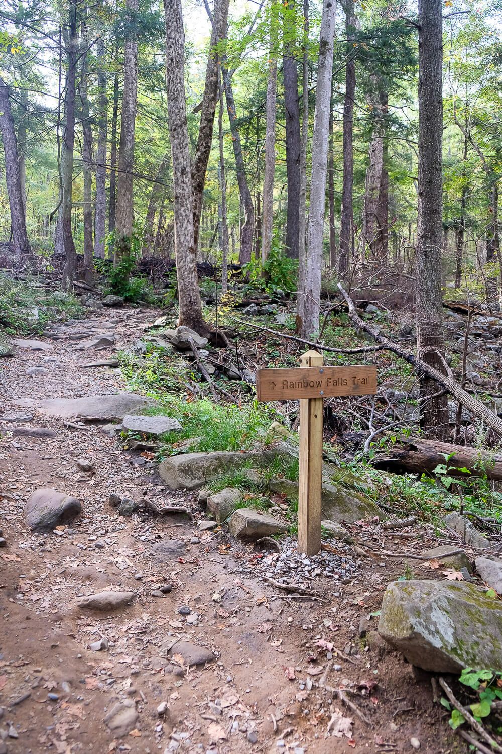 Rainbow Falls Trail