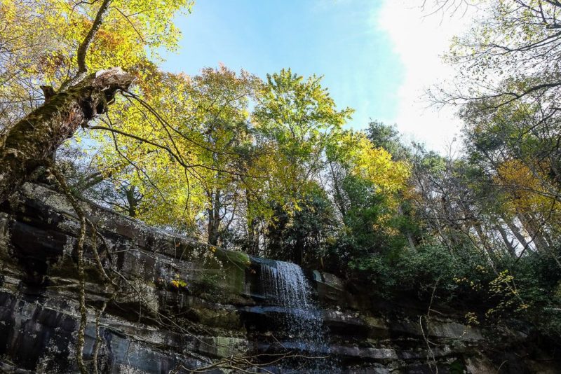 Rainbow Falls Trail