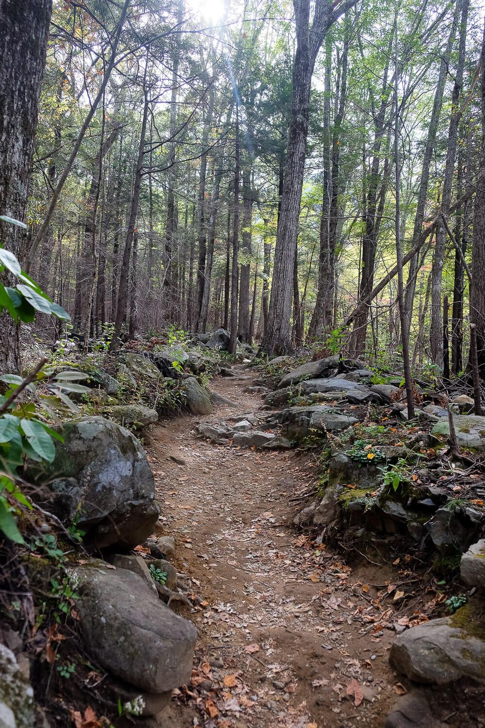 Rainbow Falls Trail