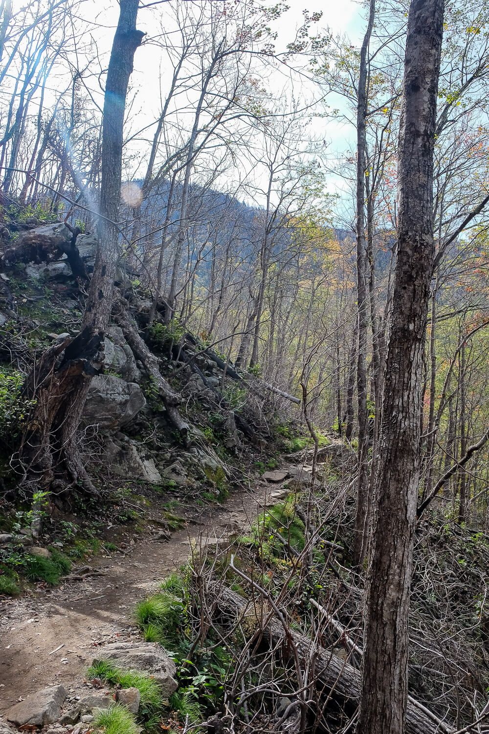 Rainbow Falls Trail