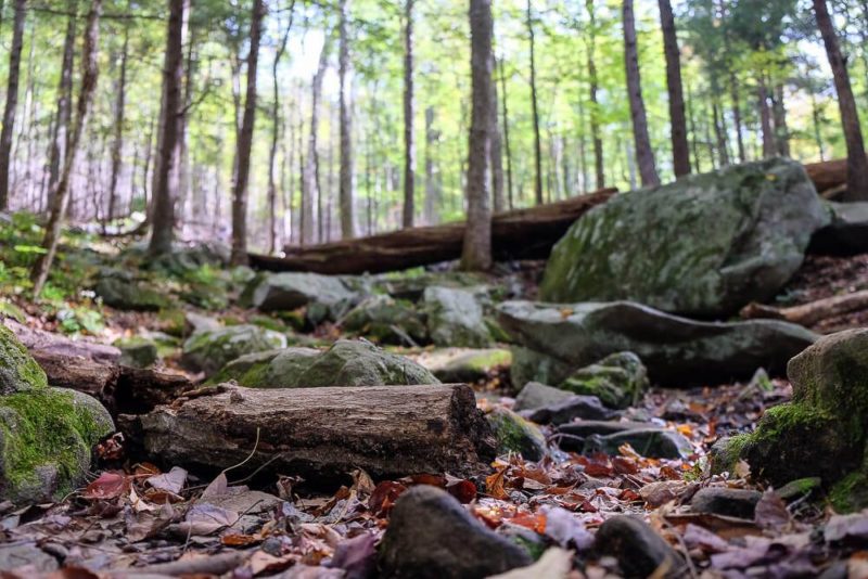 Rainbow Falls Trail