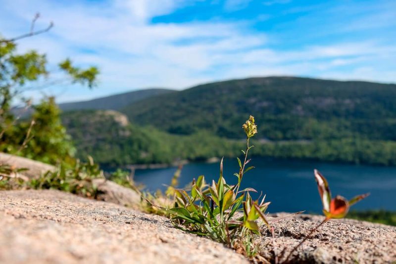 Trail Guide: Jordan Cliffs Trail