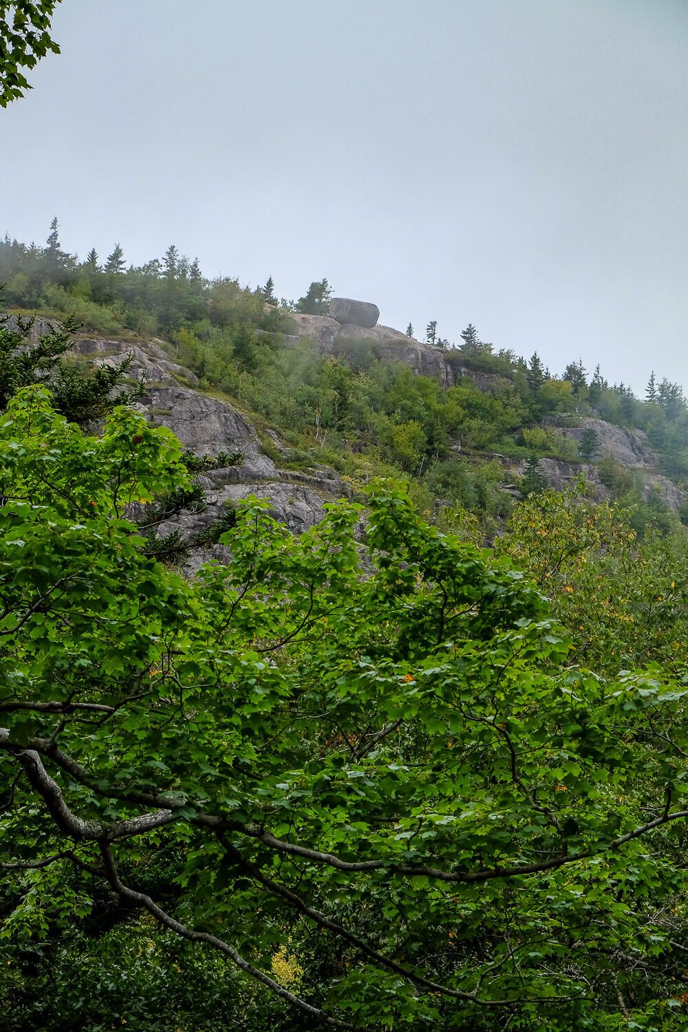 Bar Harbor In September