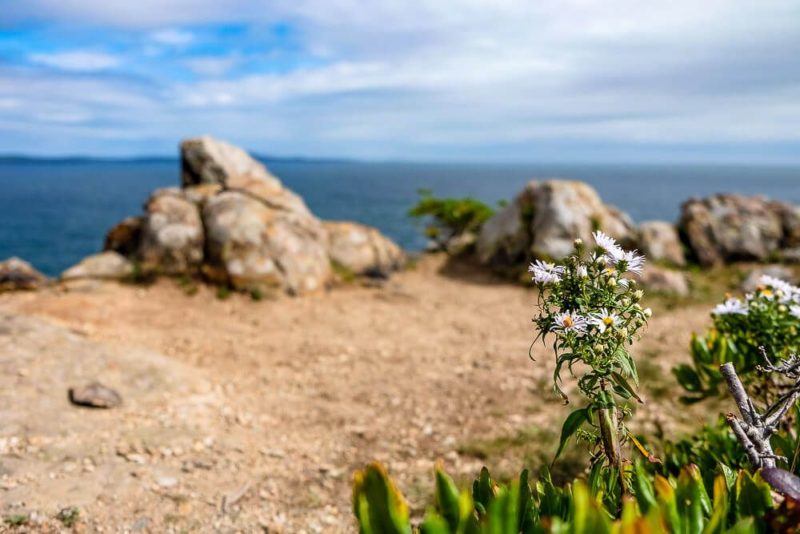 Great Head Trail Guide in Acadia National Park