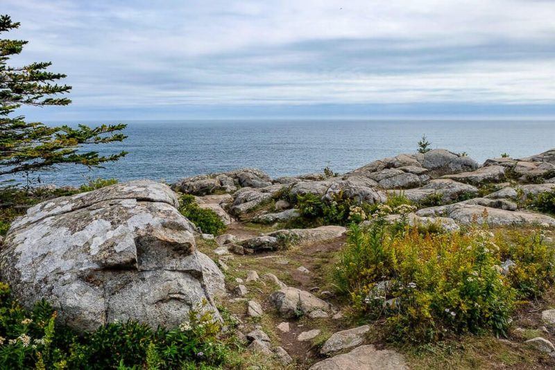 Great Head Trail Guide in Acadia National Park