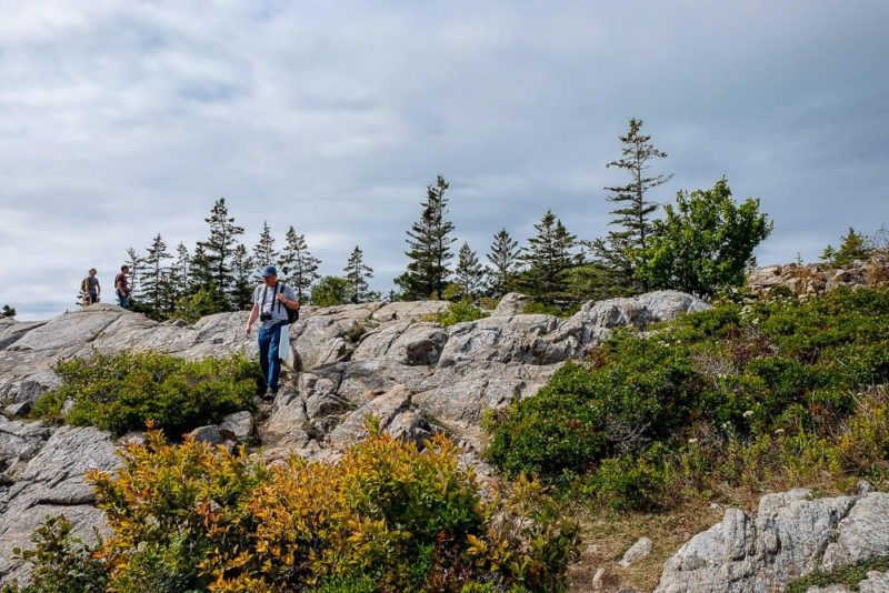 Great Head Trail Guide in Acadia National Park
