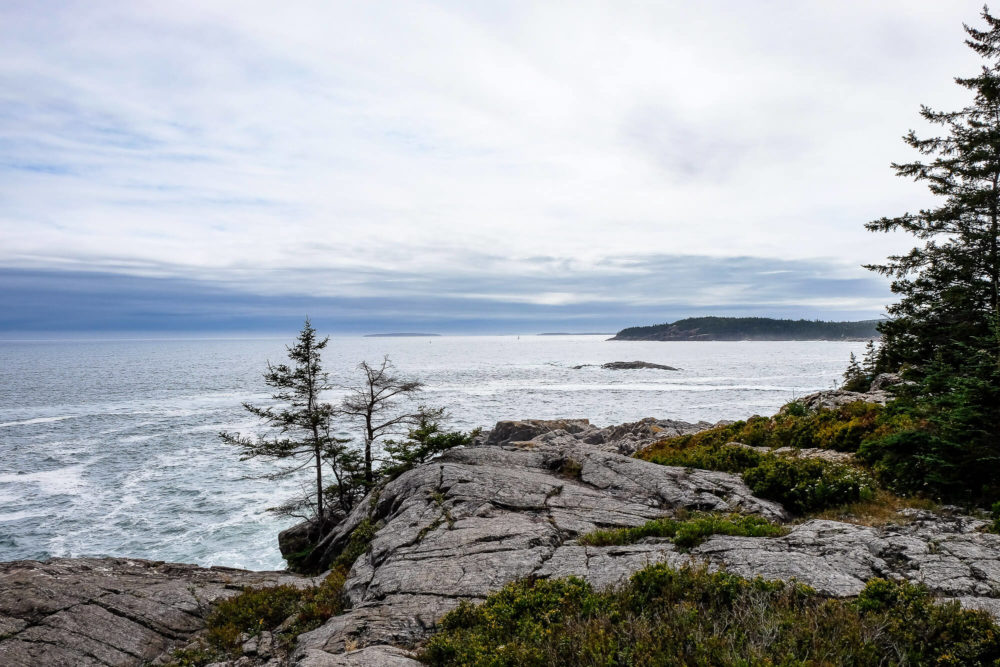 Great Head Trail Guide in Acadia National Park