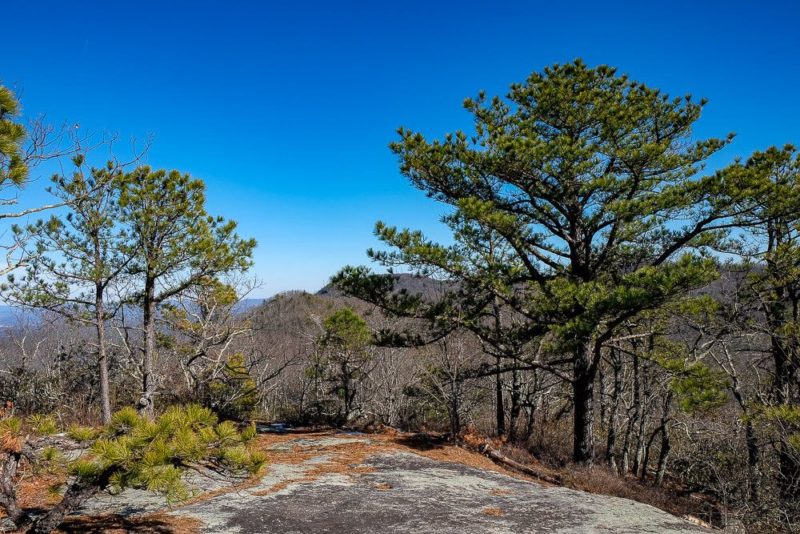 Stone Mountain in Dupont State Forest Trail Guide