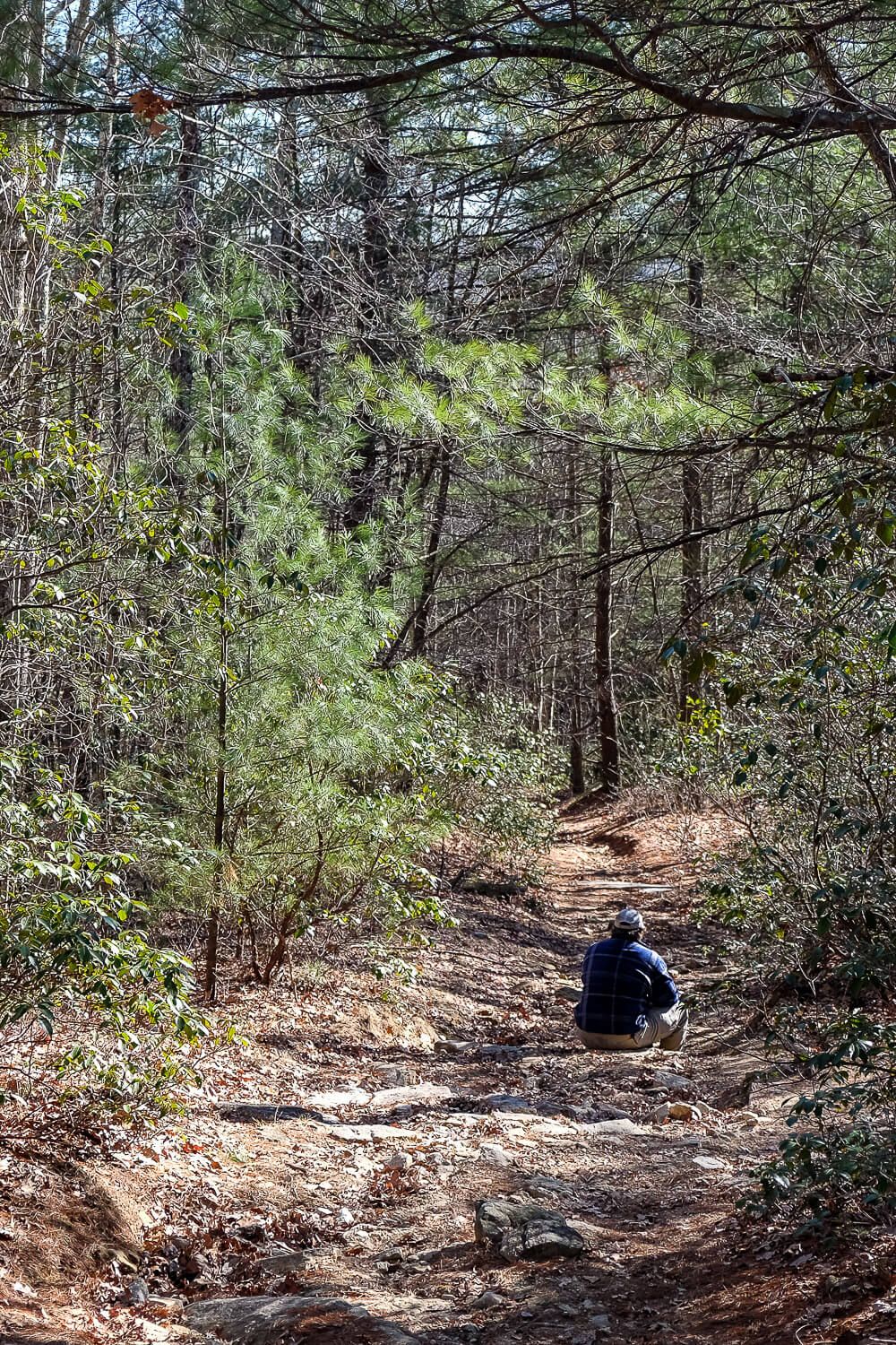 Stone Mountain in Dupont State Forest Trail Guide