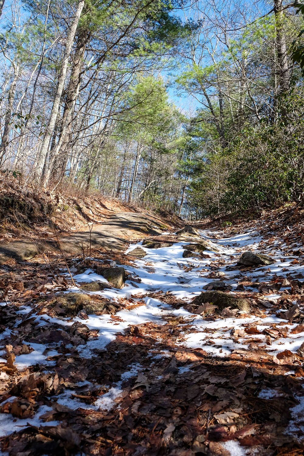 Stone Mountain in Dupont State Forest Trail Guide