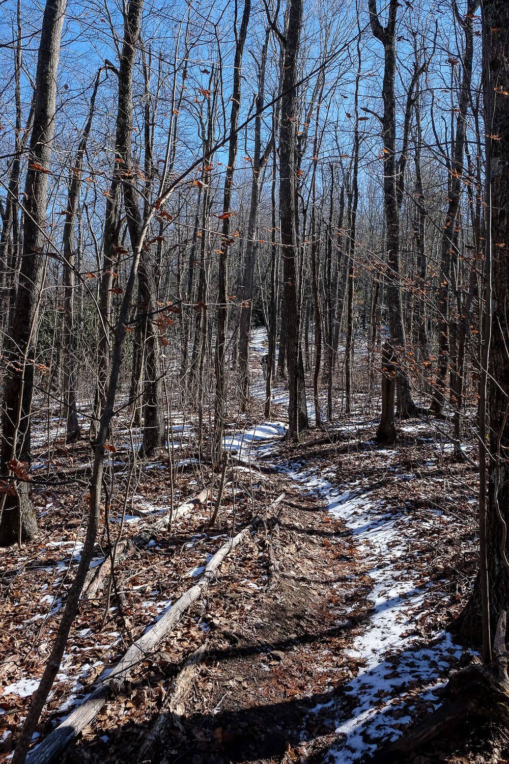 Stone Mountain in Dupont State Forest Trail Guide