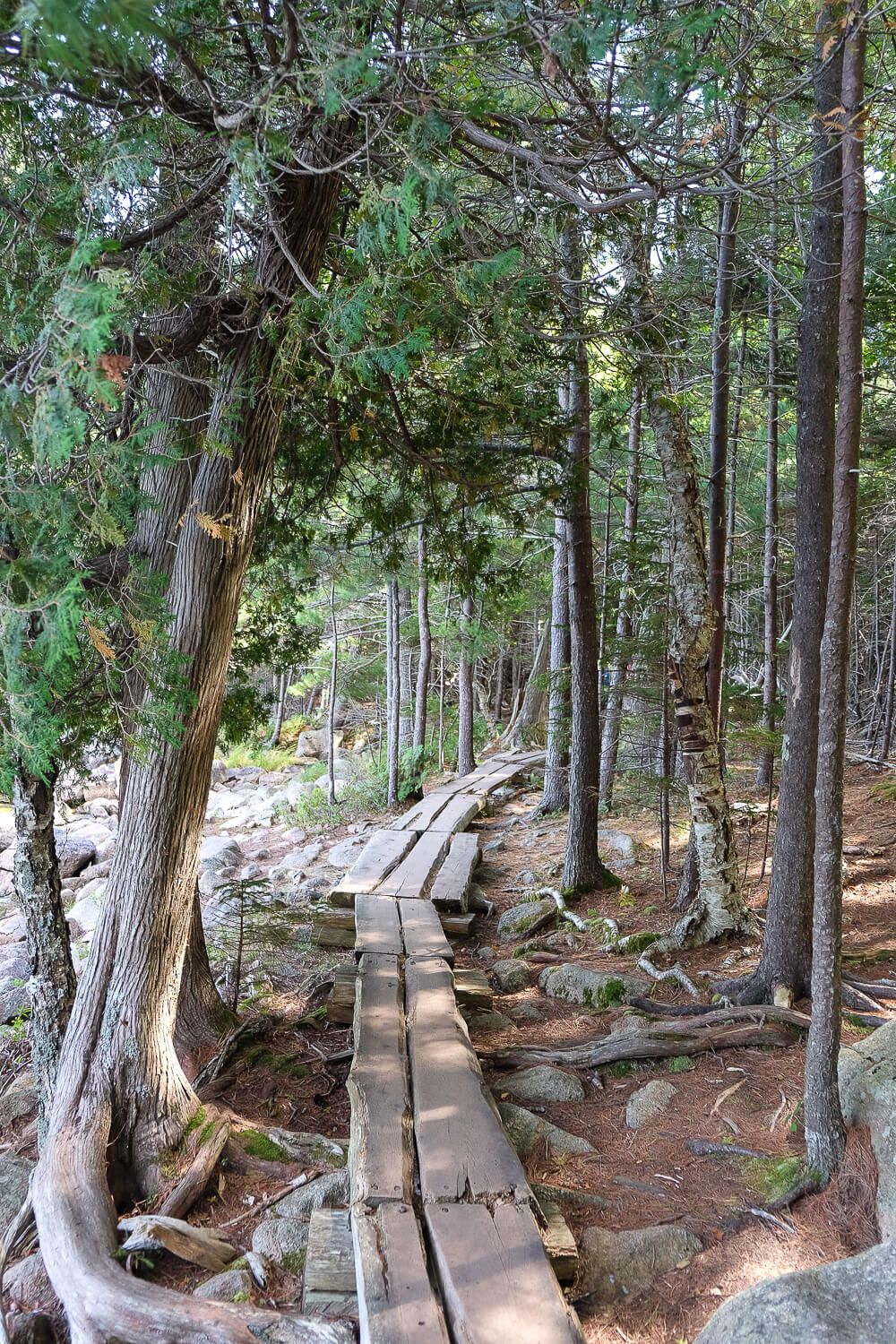 The best hikes in Acadia National Park