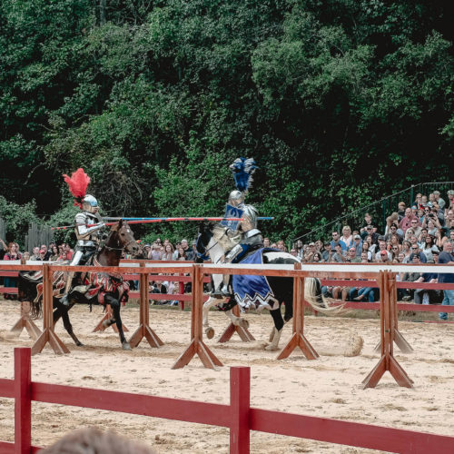 Carolina Renaissance Festival: 5 Tips For Your Visit!