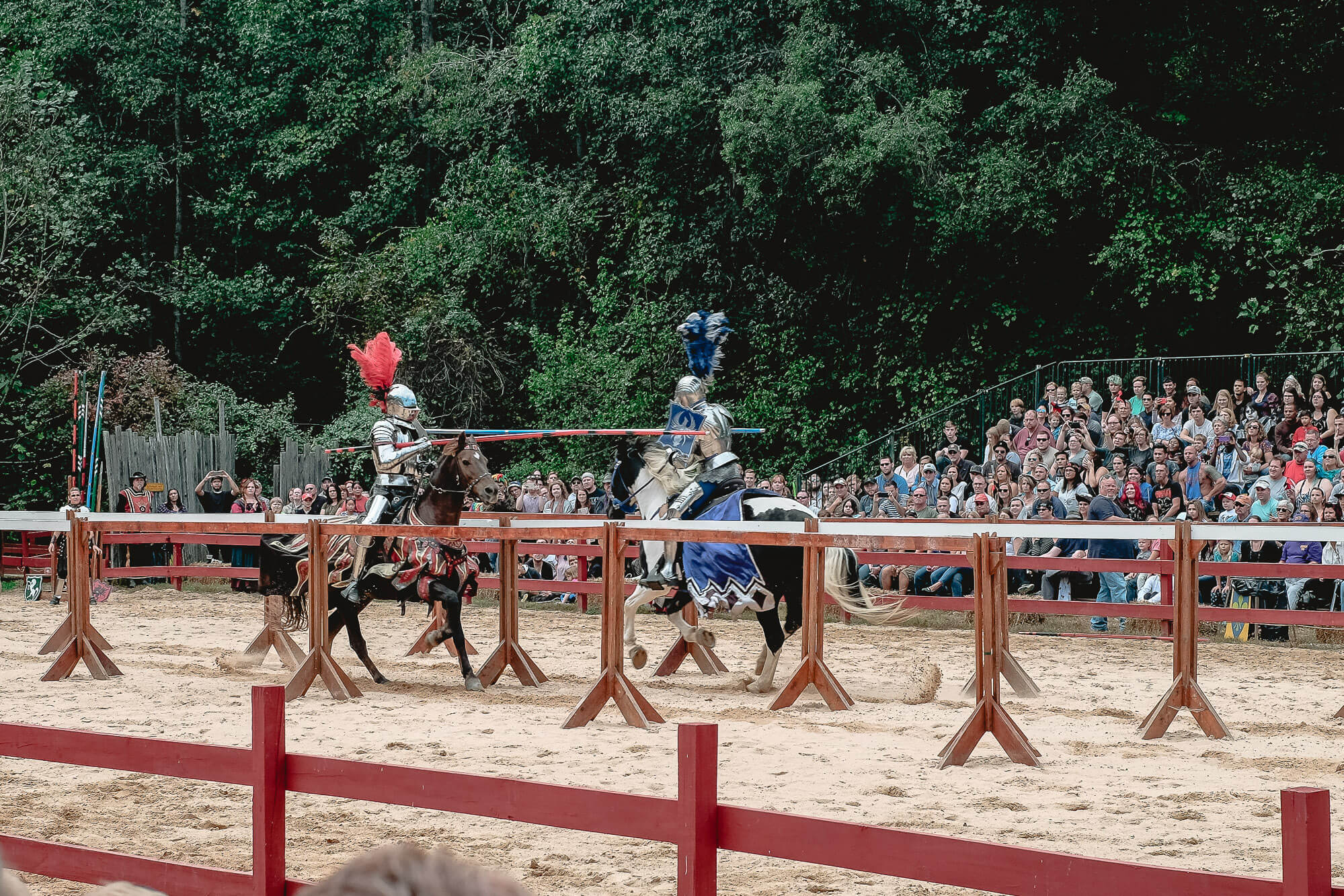Carolina Renaissance Festival 5 Tips For Your Visit