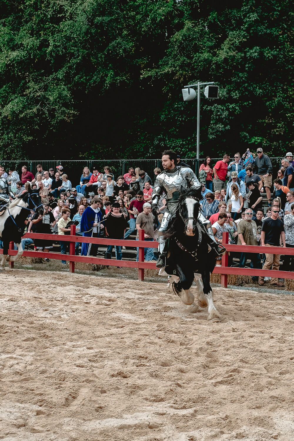 Carolina Renaissance Festival - 5 tips for your visit