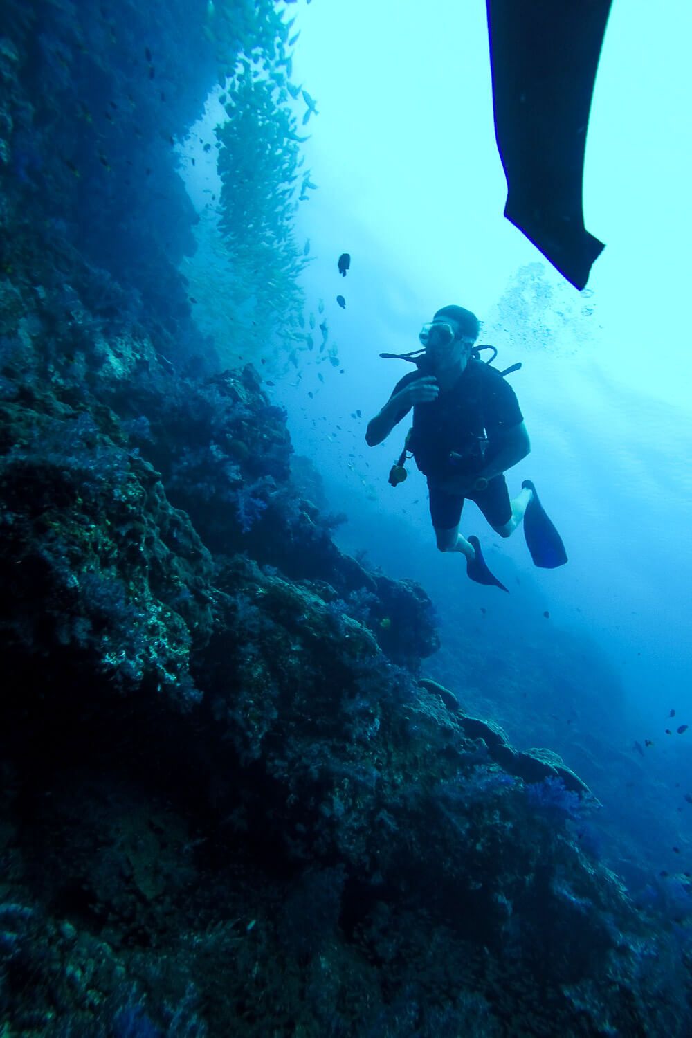 Similan Islands Diving: Sea Dragon Liveaboard