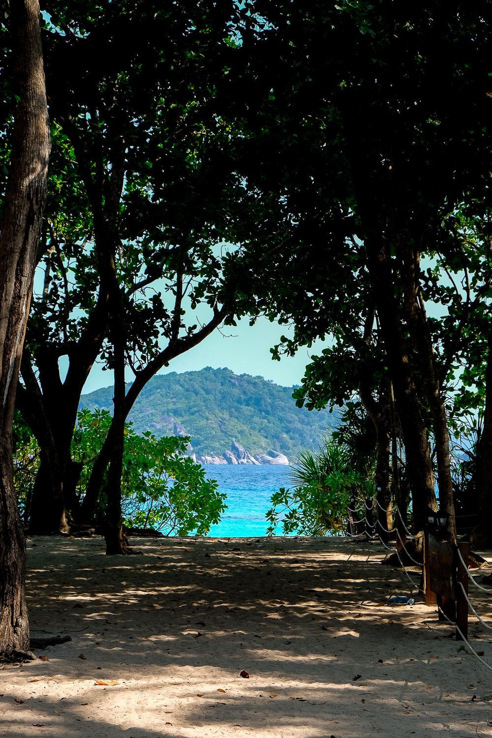 Want to book a Similan Islands Diving trip, but don't want to be rushed. Find out why you should consider a Similan Islands Liveaboard trip with Sea Dragon!