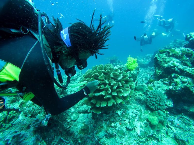 Similan Islands Diving: Sea Dragon Liveaboard