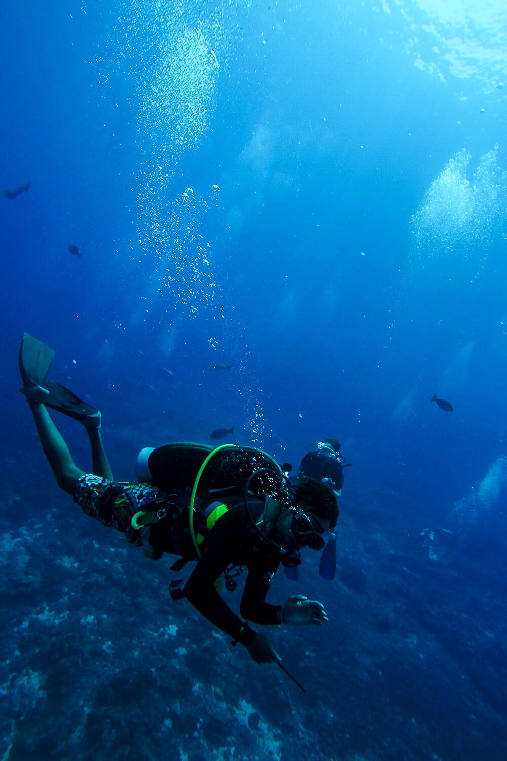 Similan Islands Diving: Sea Dragon Liveaboard