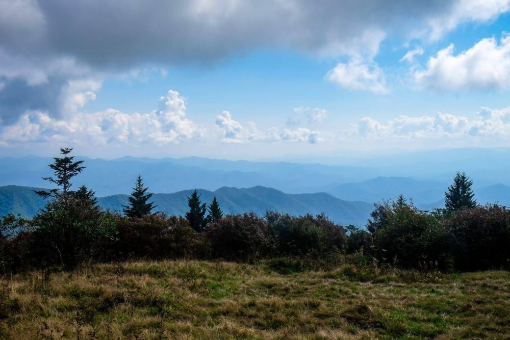 Andrews Bald Hike - Great Smoky Mountains National Park