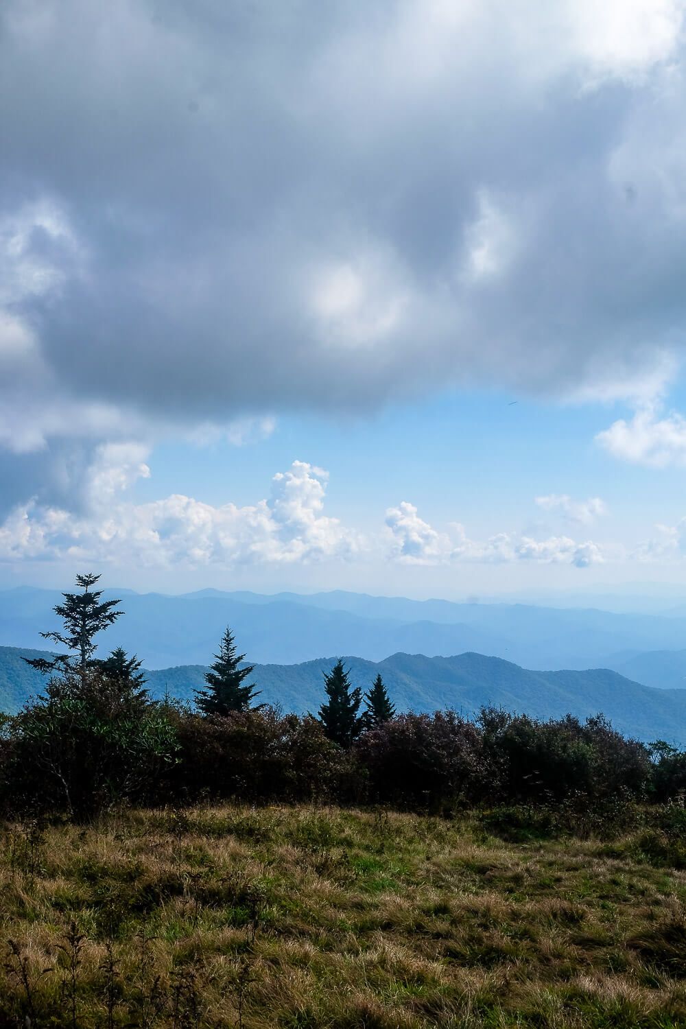 Andrews Bald Hike - Great Smoky Mountains National Park